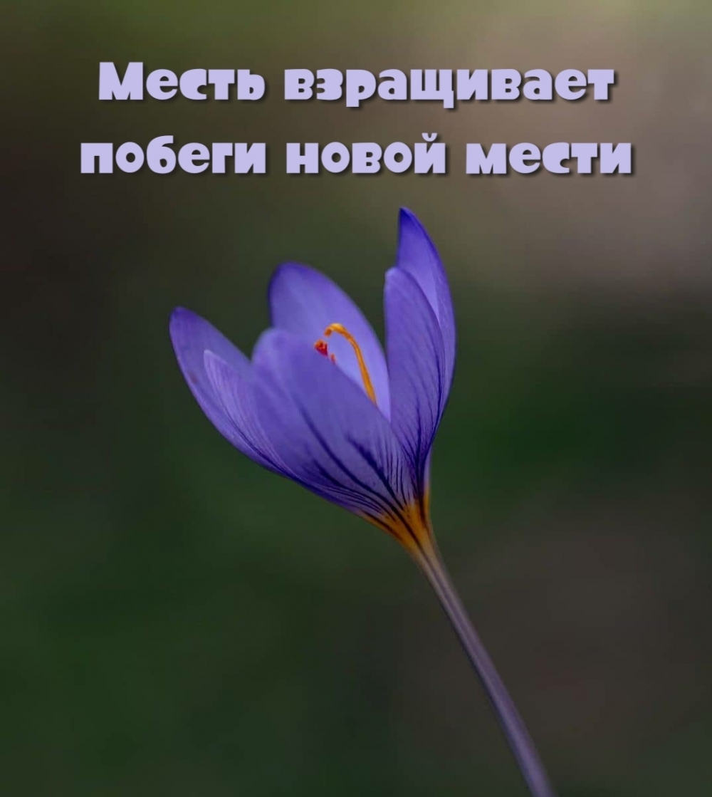 ����� ���������� ������ ����� �����