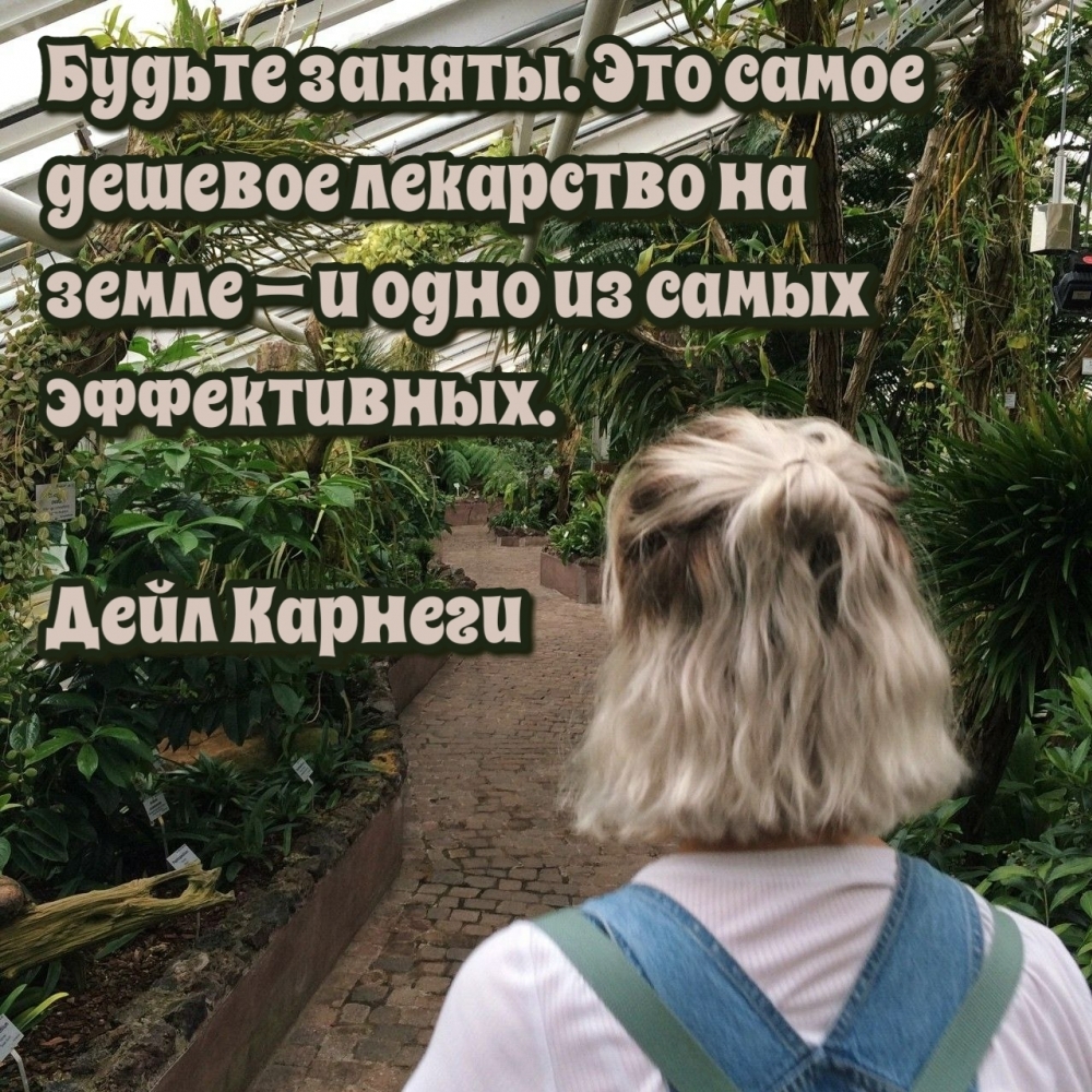 Будьте заняты цитаты. Будьте заняты это самое дешевое. благословенного дня картинки красивые с надписью.