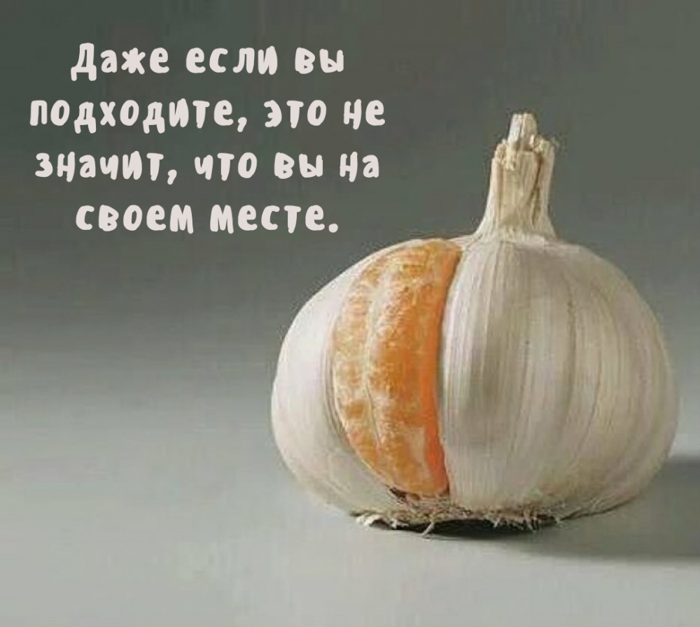 ���� ���� �� ���������, ��� �� ������, ��� �� �� ����� �����..