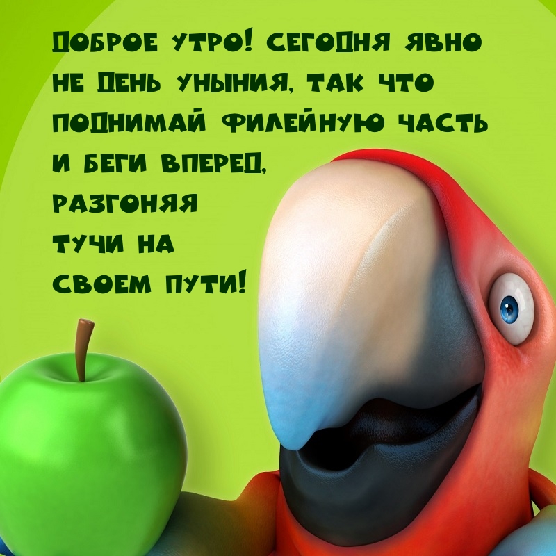 ������ ����! ���� ������, �������� ���� �� ����� ����!.