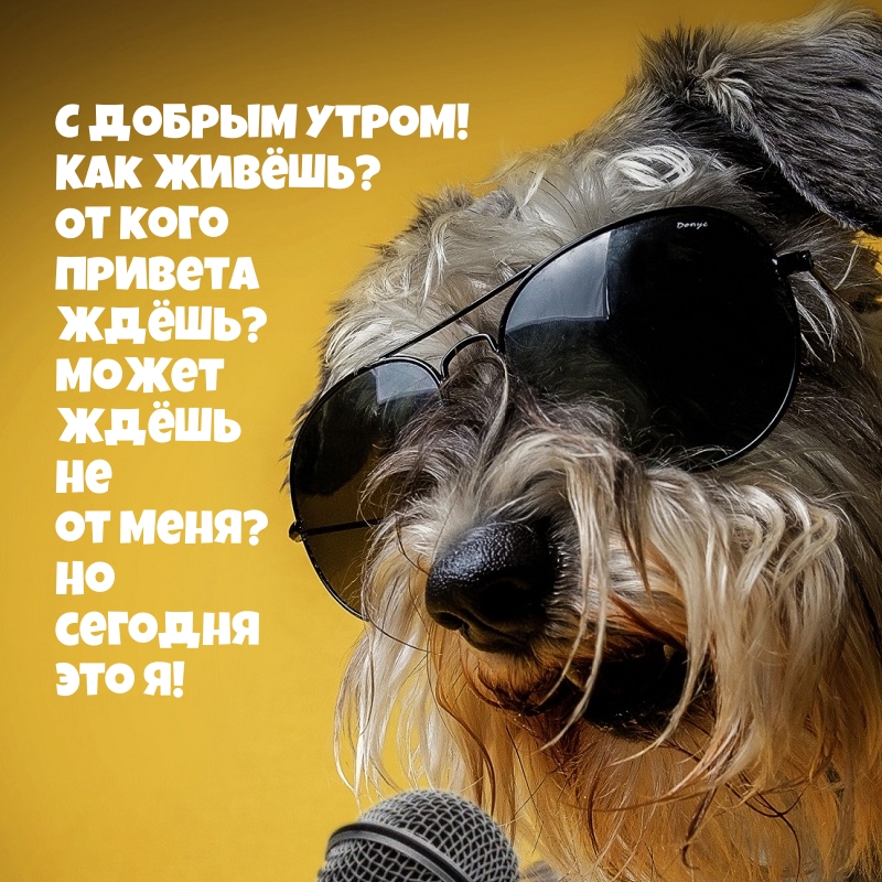 � ������ �����! ��� �����? �� ���� ������� ����?.