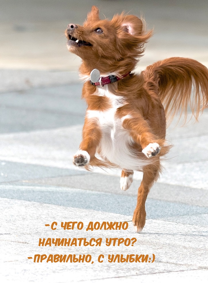 -� ���� ������ ���������� ����? -���������, � ������:).