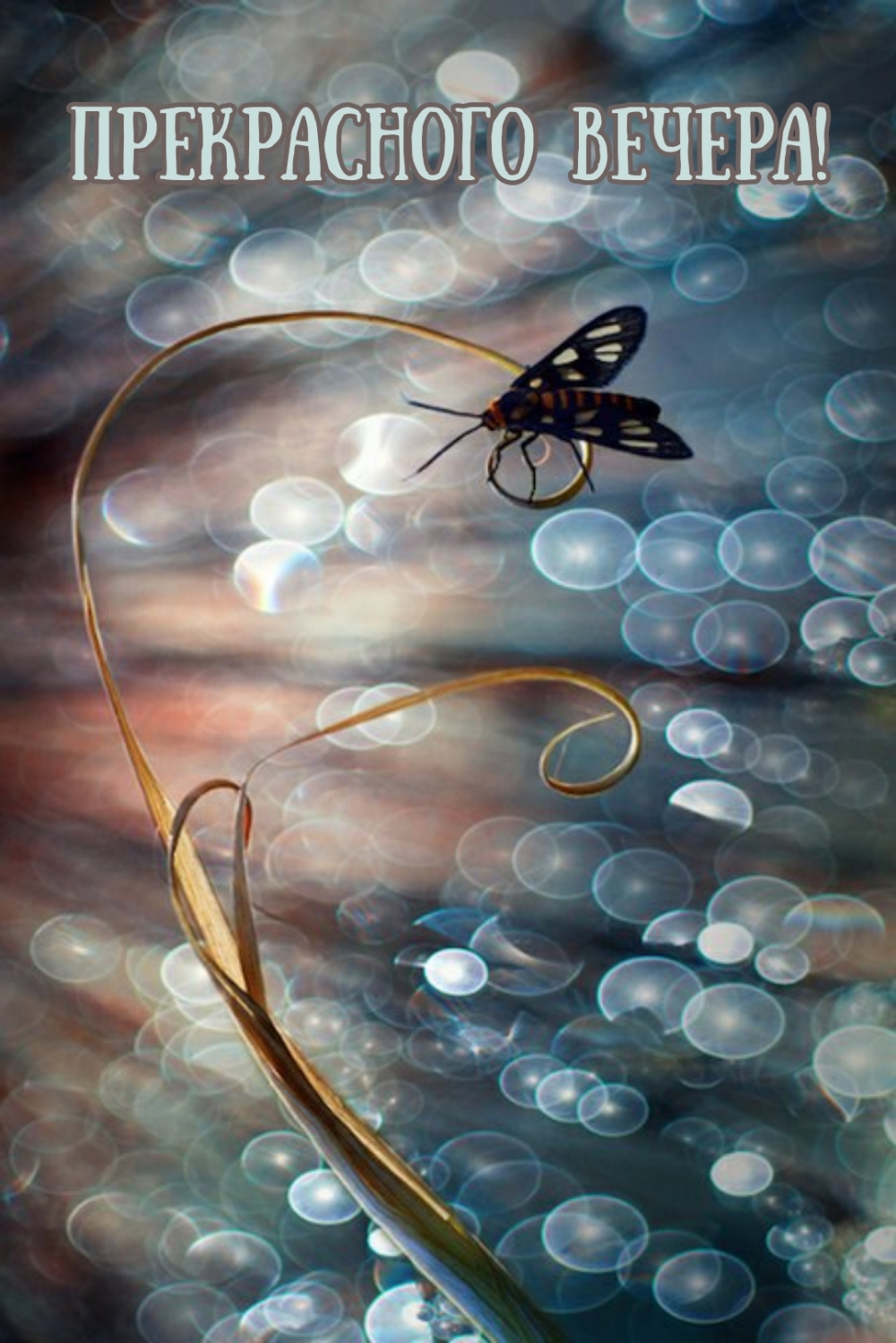 ����������� ������!.