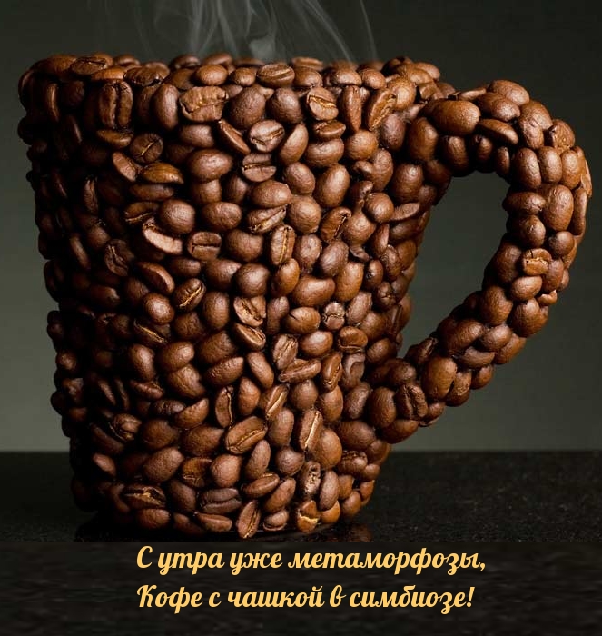 � ���� ��� �����������, ���� � ������ � ��������!.