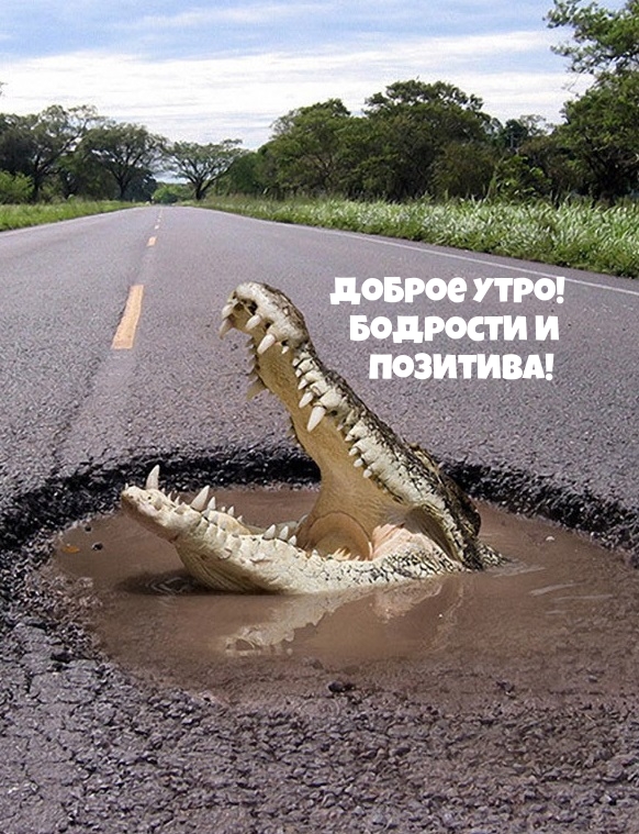 ������ ����! �������� � ��������!.
