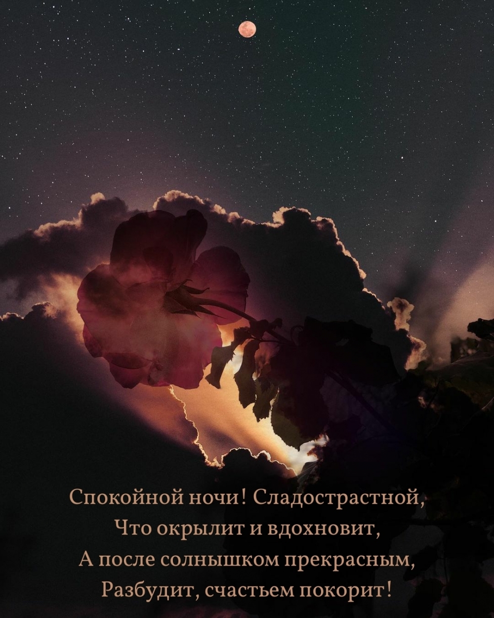 ��������� ����! ��������������, ��� ������� � ���������.