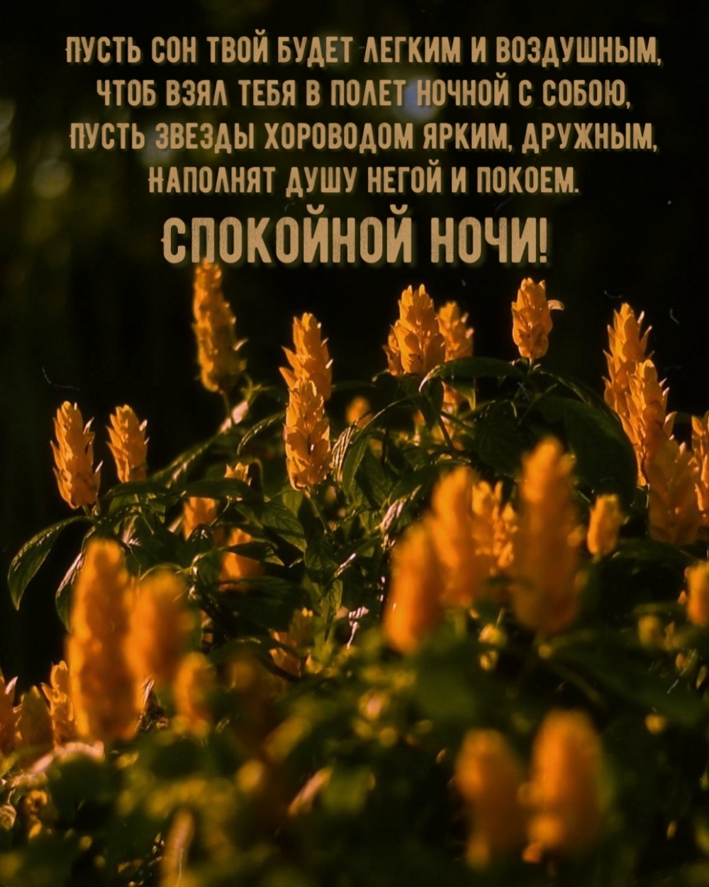 ��������� ����! ����� ��� ���� ����� ������ � ���������.