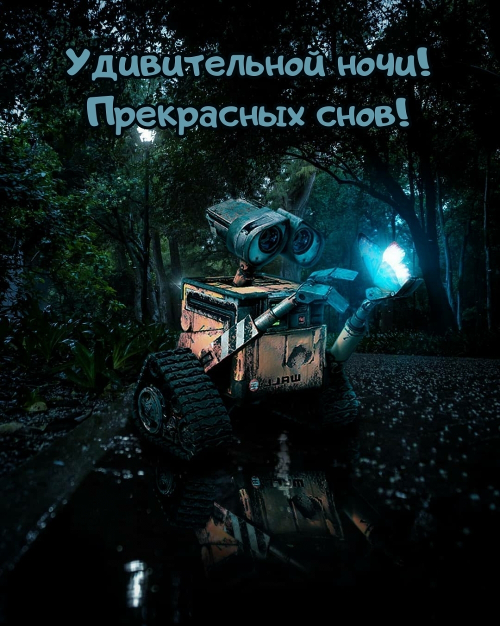 ������������ ����! ���������� ����!.