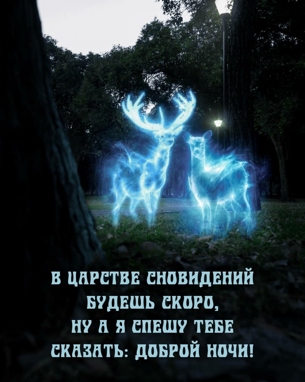 Спешу тебе сказать: доброй ночи!