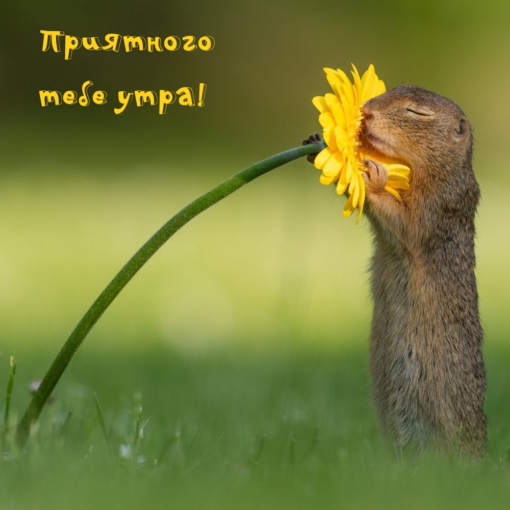 ��������� ���� ����!.