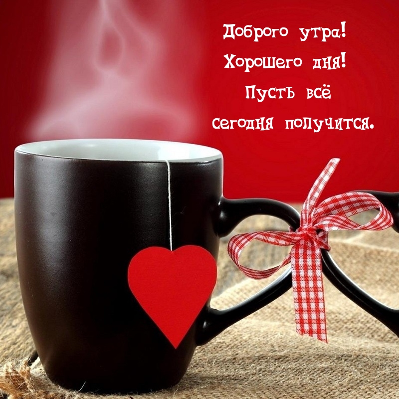 ������� ����! �������� ���! ����� �� ������� ���������..