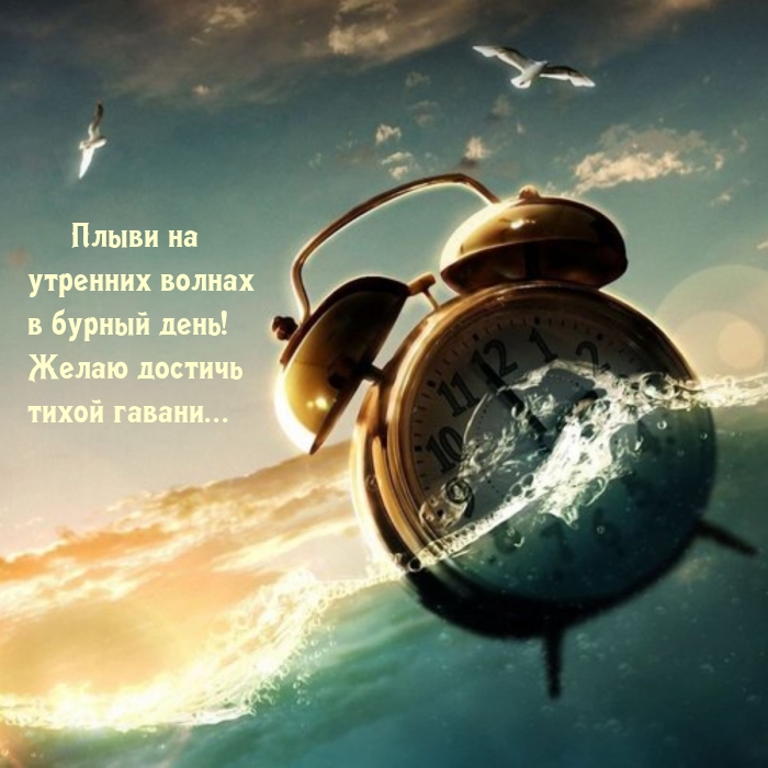 ����� �� �������� ������ � ������ ����! ����� ������� ����� ������.