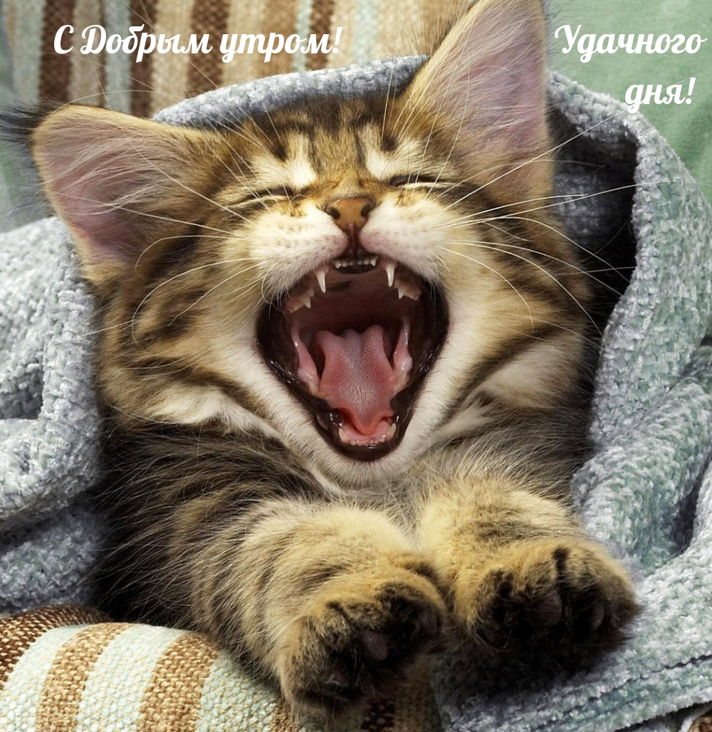 � ������ �����! �������� ���!.