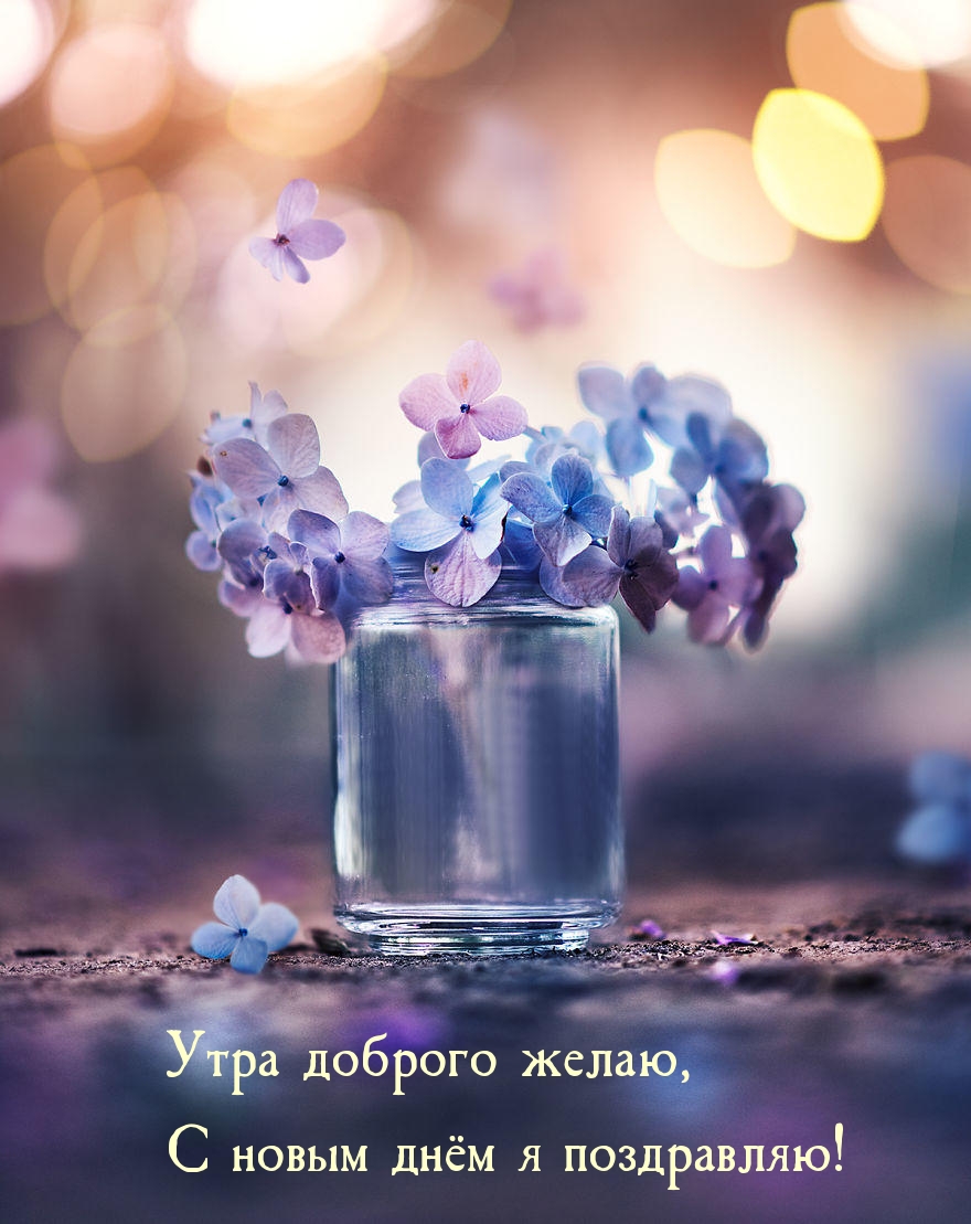 ���� ������� �����, � ����� ���� � ����������!.