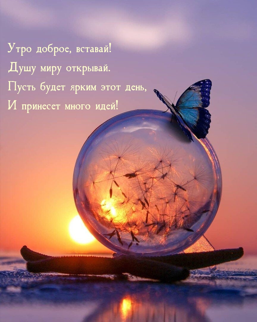 ���� ������, �������! ���� ���� ��������..