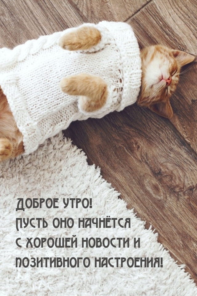 ������ ����! ����� ��� �������� � �������� �������