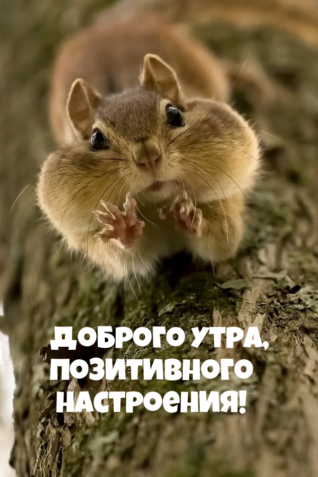 ������� ����, ����������� ����������!