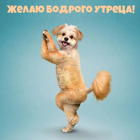 ����� ������� ������!.