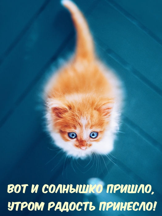 ��� � �������� ������, ����� ������� ��������!.