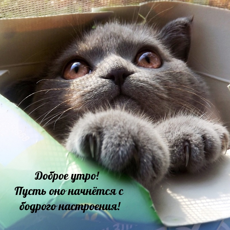 ������ ����! ����� ��� �������� � ������� ����������!.