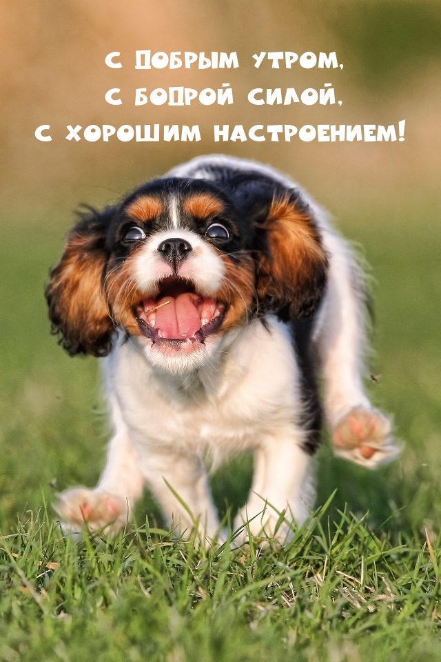 � ������ �����. � ������ �����, � ������� �����������!.