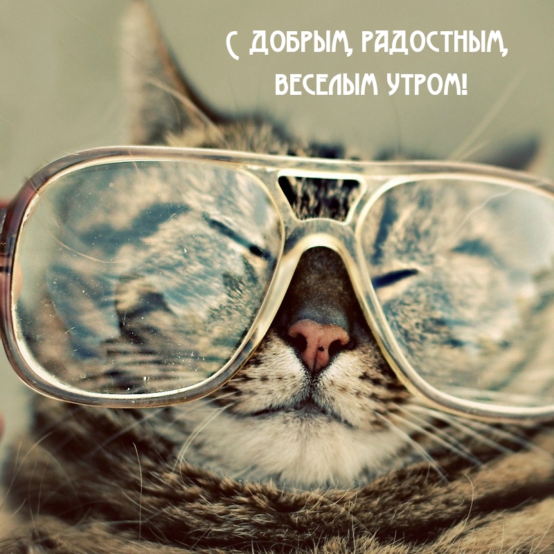 � ������, ���������, ������� �����!