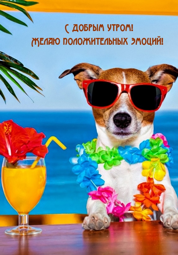 � ������ �����! ����� ������������� ������!