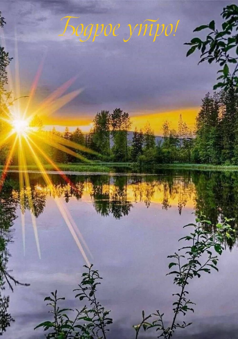 ������ ����!.