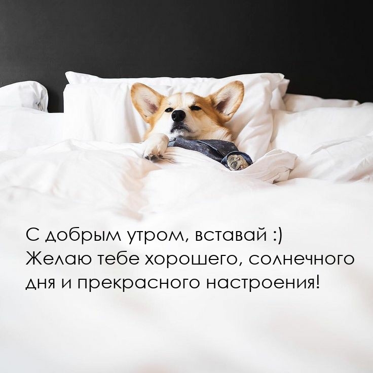 � ������ �����, ������� :).