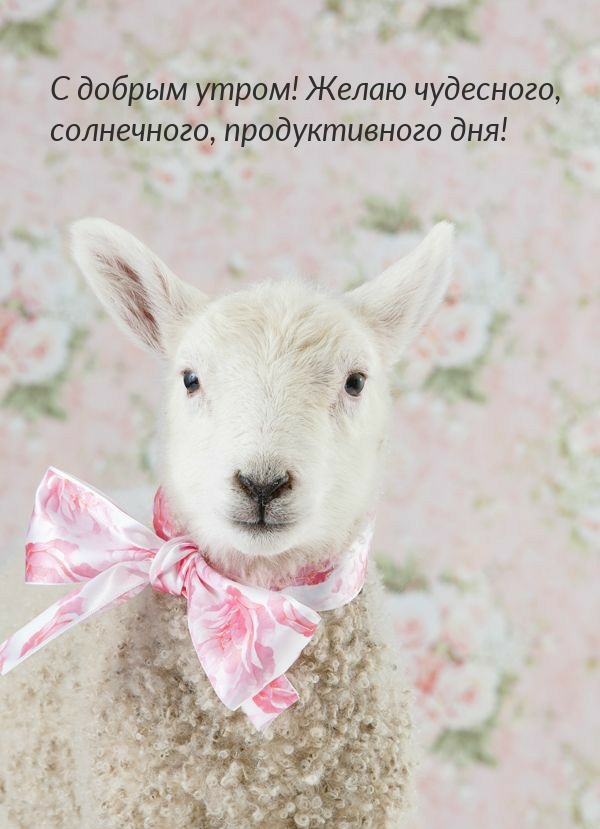 � ������ �����! ����� ���������, ���������� ���!.