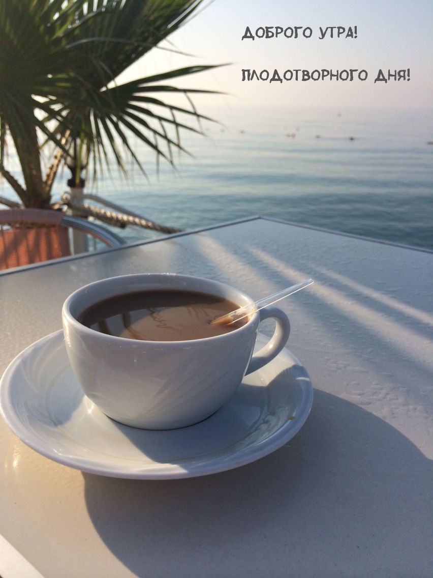 ������� ����! ������������� ���!.