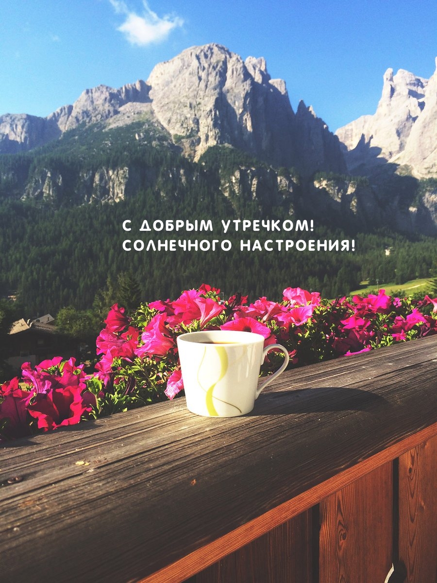 � ������ ��������! ���������� ����������!.