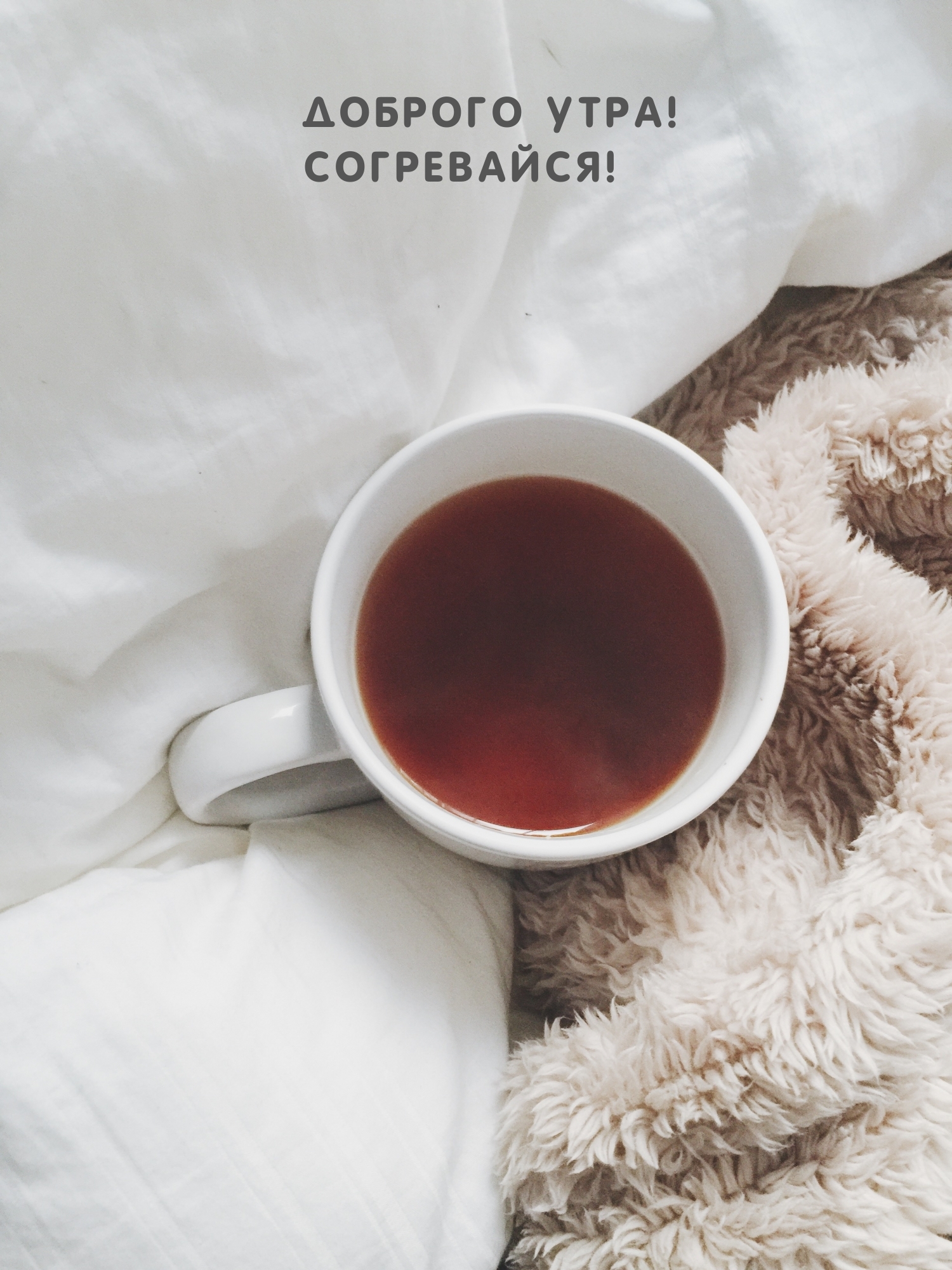 ������� ����! ����������!.