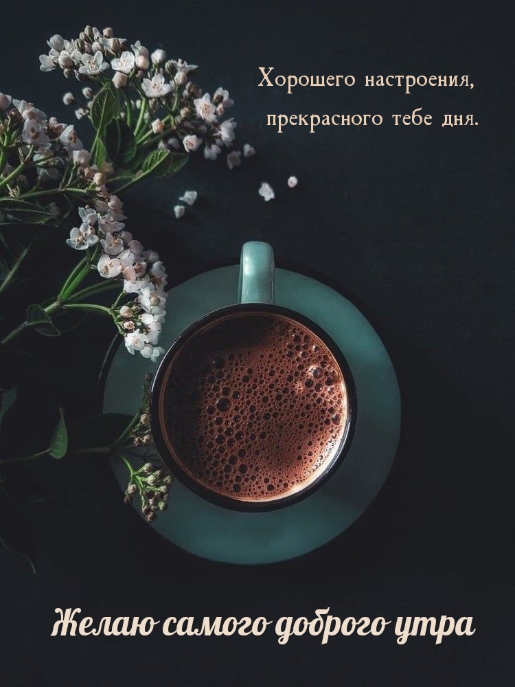 ����� ������ ������� ����.