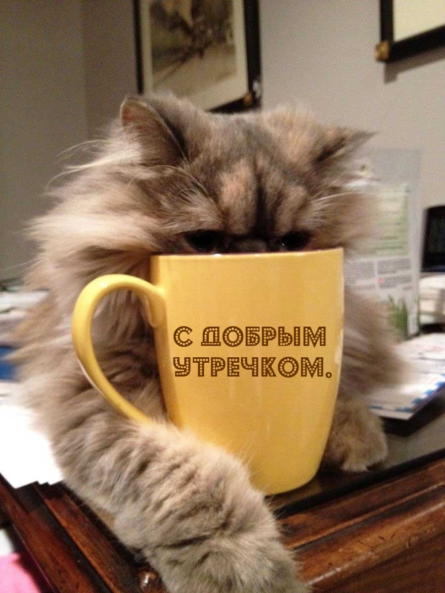 � ������ ��������..