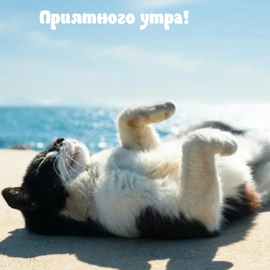 ��������� ����!.