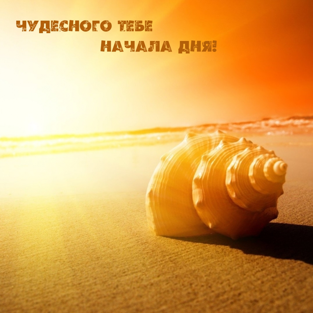 ��������� ���� ������ ���!.