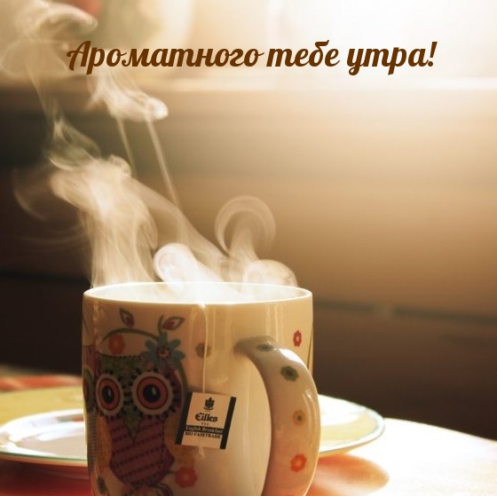 ���������� ���� ����!.