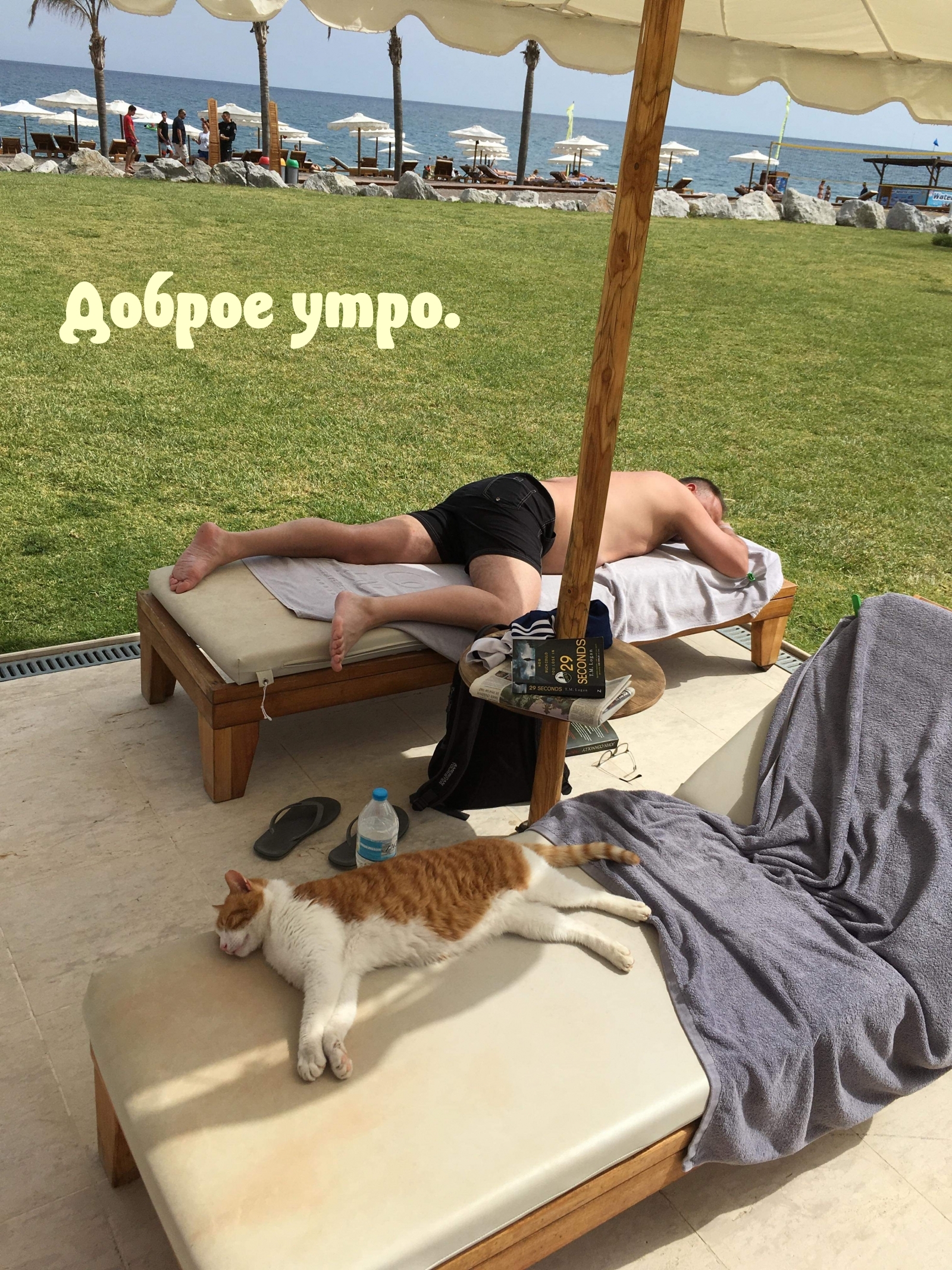 Доброе утро.
