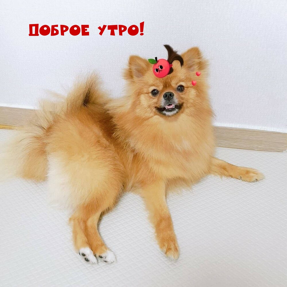 ������ ����!.