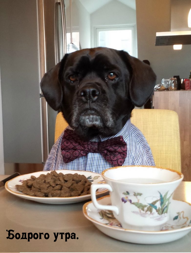 ������� ����..