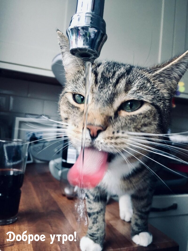 ������ ����!.