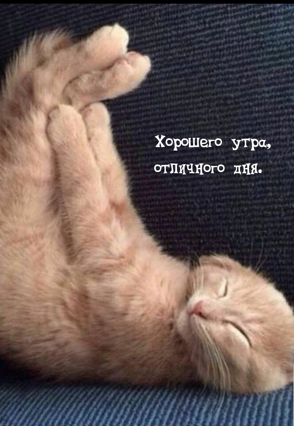 �������� ����, ��������� ���..