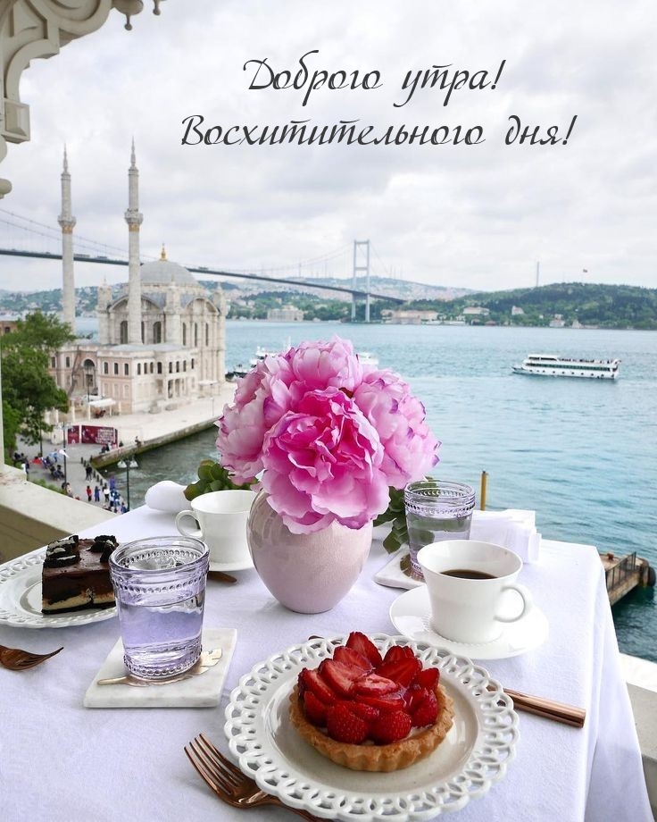 ������� ����! ��������������� ���!.