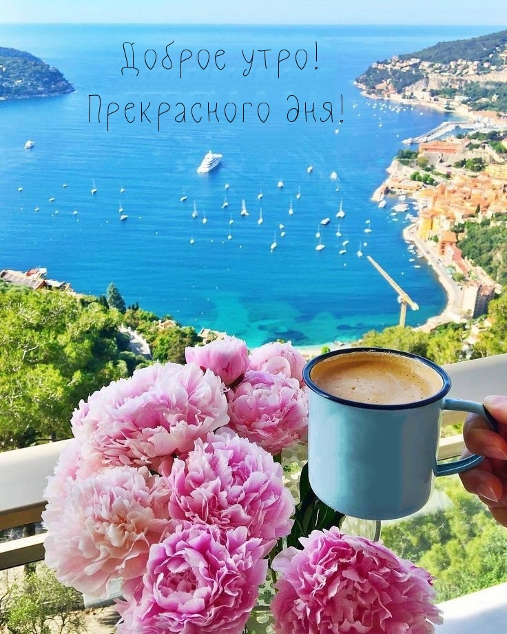 ������ ����! ����������� ���!.