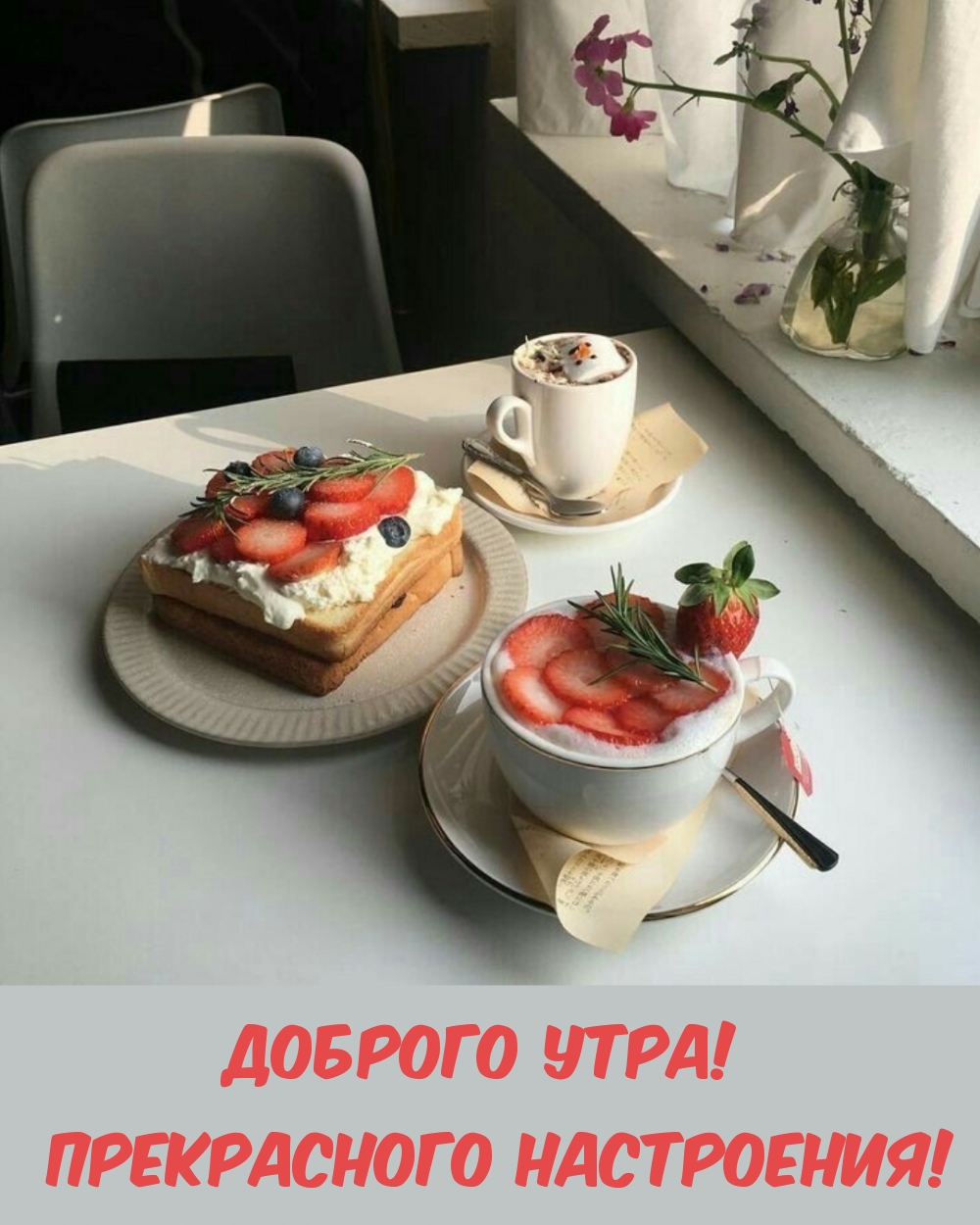 ������� ����! ����������� ����������!.