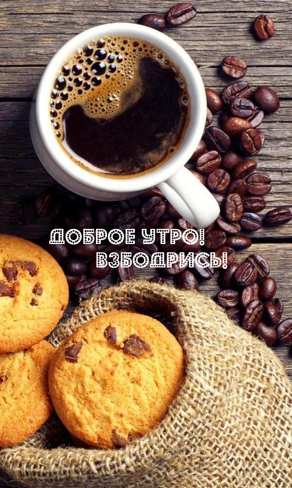 ������ ����! ���������!.