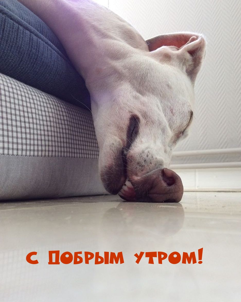 � ������ �����!.