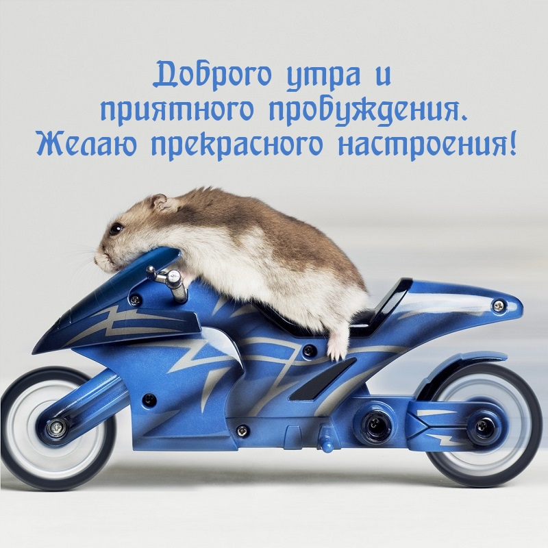 ������� ���� � ��������� �����������..