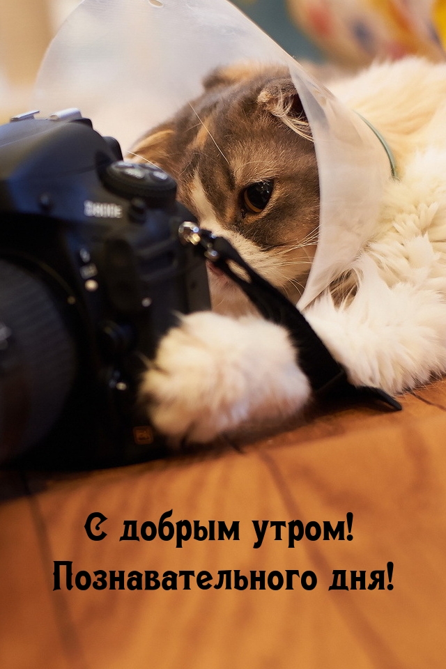� ������ �����! ��������������� ���!